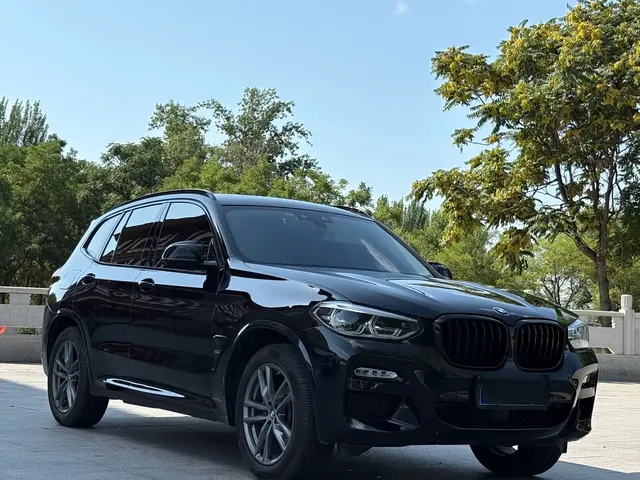 BMW X3 2018 xDrive30i Leading M Sport Package China V