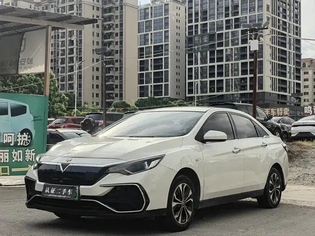Venucia D60EV 2020 Standard Range Premium Edition