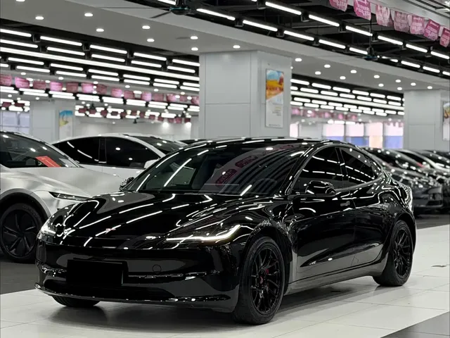 Tesla Model 3 2025 Model Rear-Wheel Drive Edition