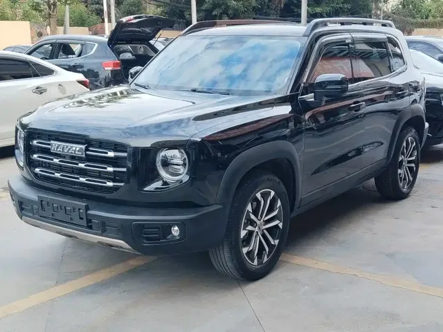 Haval Big Dog 2021 1.5T DCT 2WD Border Collie Edition