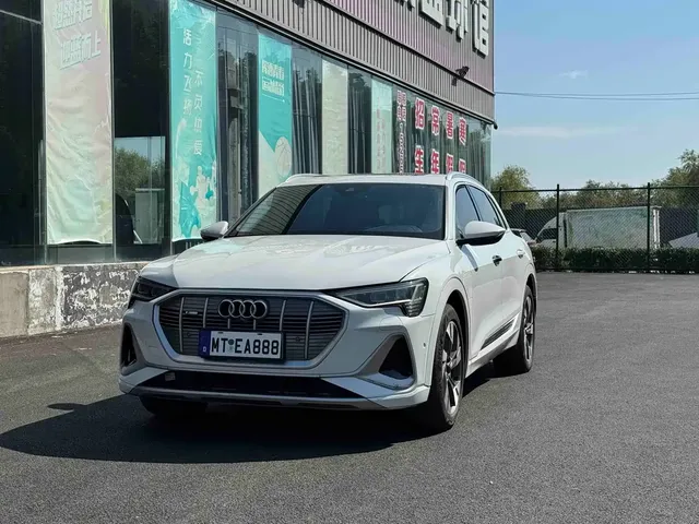 Audi e-tron (Import) 2019 55 quattro Technology