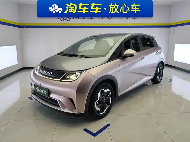 BYD Dolphin 2021 Model 405km Fashion Edition