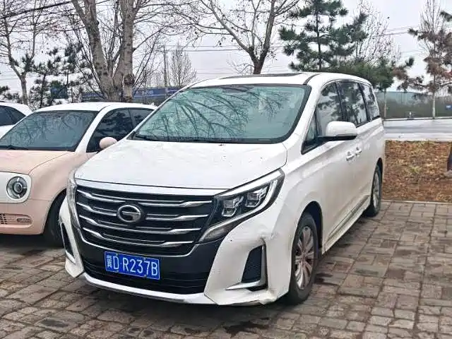 GAC Trumpchi M8 2020 Pilot 390T Premium Edition