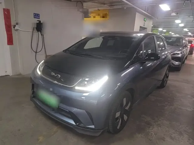 BYD Dolphin 2024 Glory Edition 401km Knight Edition