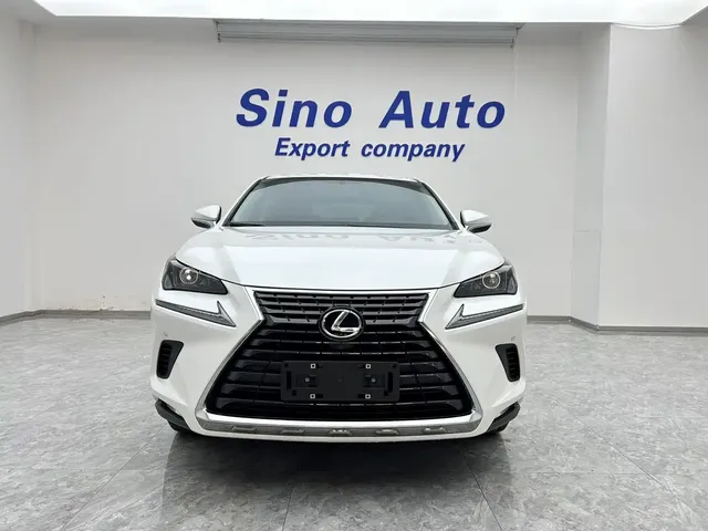 Lexus NX 2020 200 FWD Fengyi Edition China VI