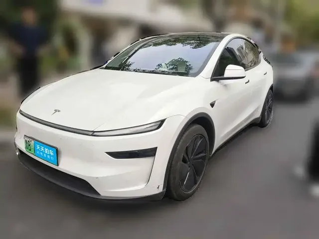 Tesla Model Y 2025 Model Rear-Wheel Drive Launch Edition
