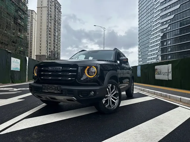 Haval Big Dog 2022 1.5T DCT FWD Border Collie Edition