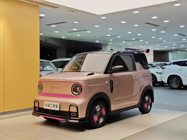 Geely Galaxy Panda 2025 Model Year 210km Panda Kart