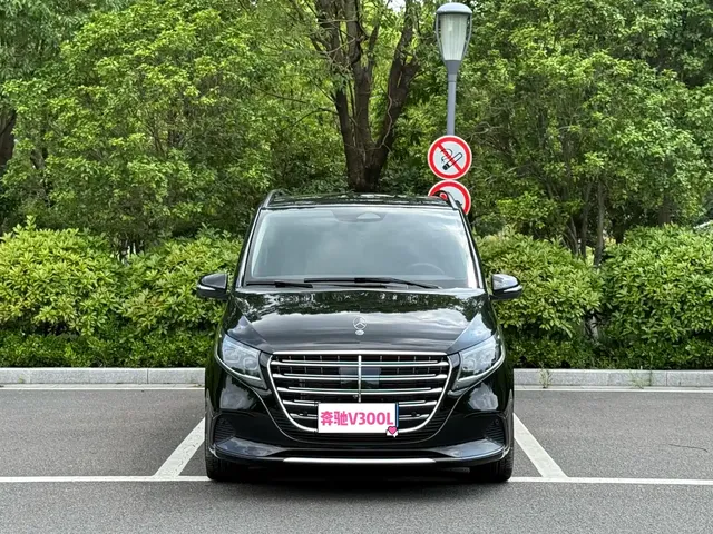 Mercedes-Benz V-Class 2024 V 300 L Long Wheelbase Luxury Edition