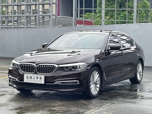 BMW 5 Series 2019 530Li Leading Luxury Package
