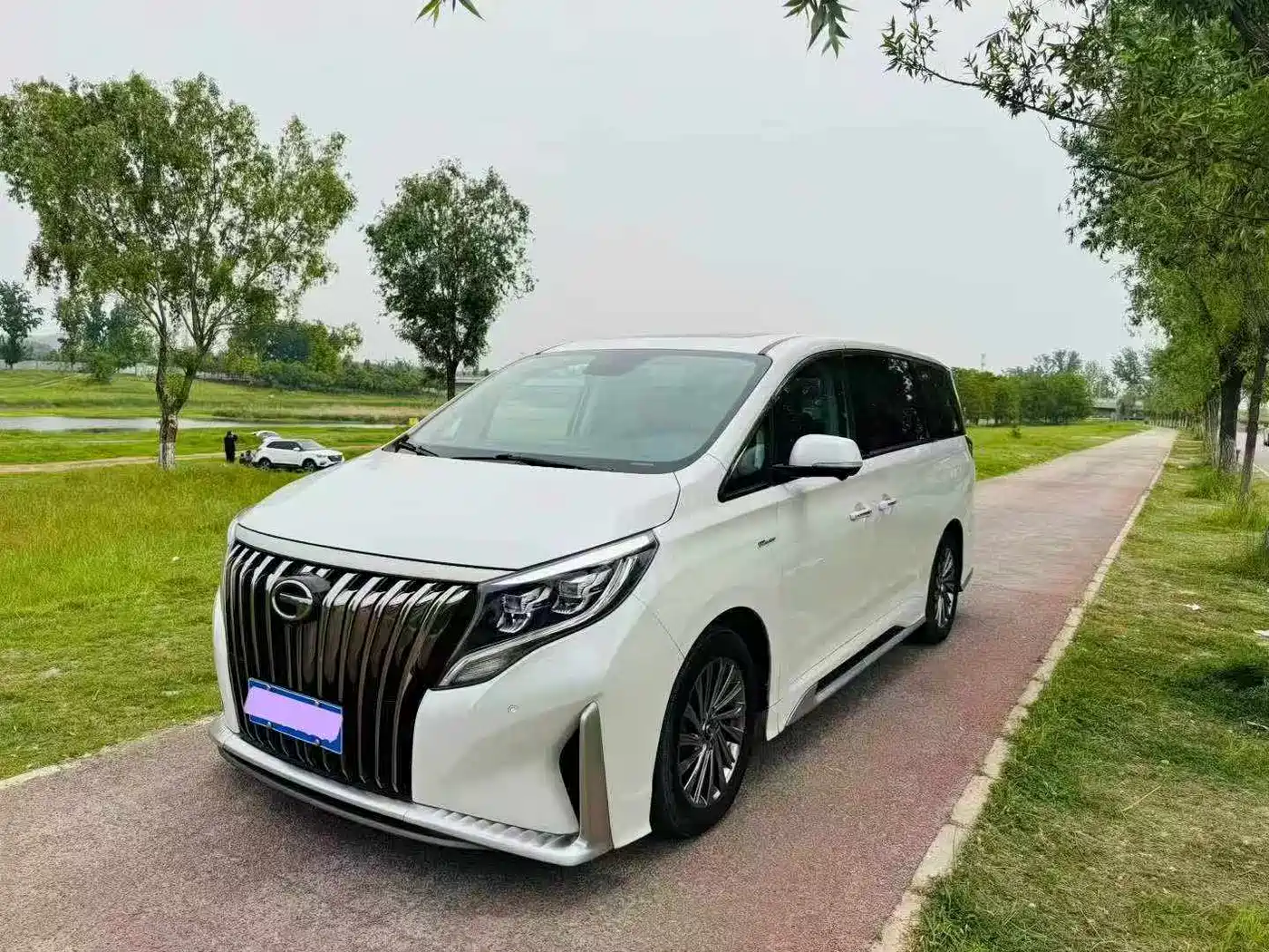 GAC Trumpchi M8 2021 Master Series 390T Prestige Edition