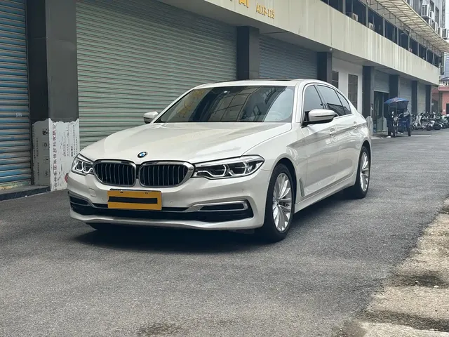 BMW 5 Series 2020 530Li Leading Luxury Package