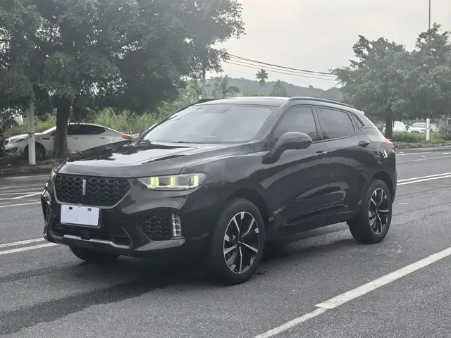 WEY VV5 2019 Upgrade 2.0T 2WD Ultra Luxury China V