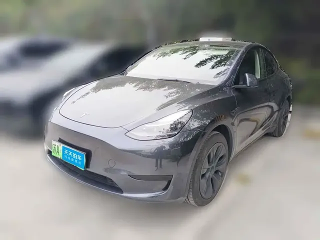 Tesla Model Y 2024 Rear-Wheel Drive Version