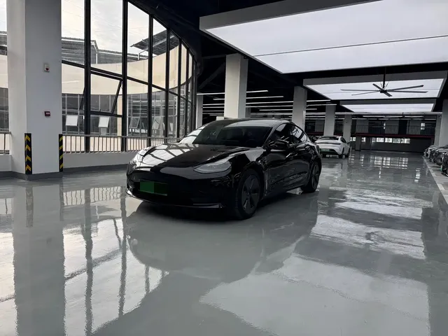 Tesla Model 3 2022 Model Rear-Wheel Drive Version