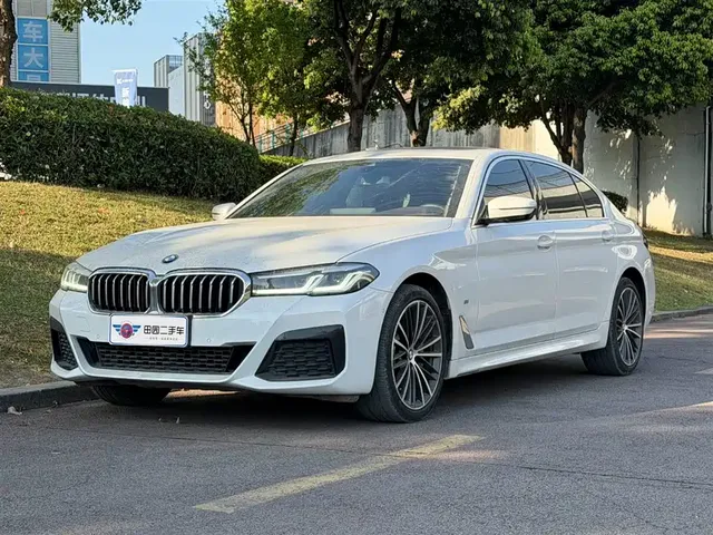 BMW 5 Series 2020 530Li Leading M Sport Package