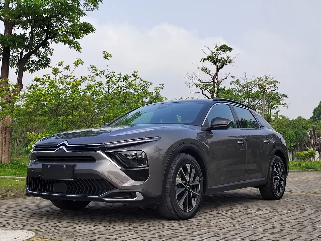 Citroën Versailles C5 X 2022 1.6T Momentum Extraordinary Tiger Year Opening Edition