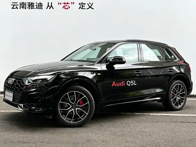 Audi Q5L 2025 45th Anniversary Edition 45 TFSI Luxury Sport