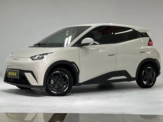 BYD Seagull 2025 305km Freedom