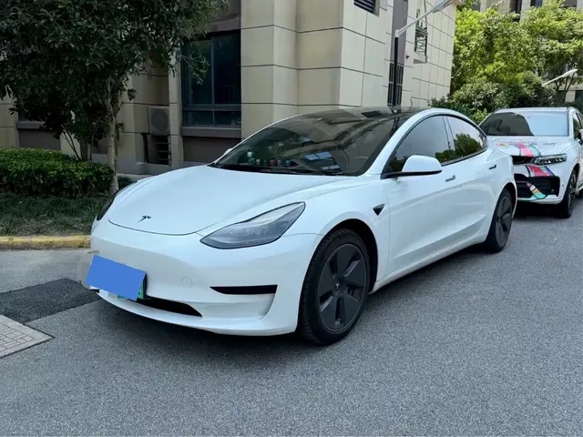 Tesla Model 3 2022 Model Rear-Wheel Drive Version