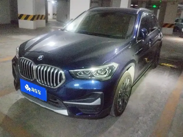 BMW X1 2020 xDrive25Li Premium Edition