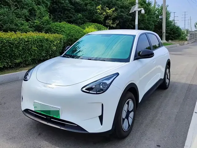 Geely Galaxy Starry Wish 2025 310km Youth Edition