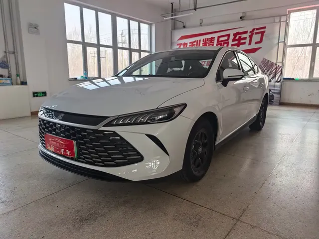 BYD Qin PLUS 2025 DM-i Smart Drive 55KM Leader