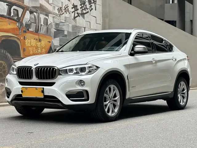 BMW X6 2018 xDrive35i Leading Model