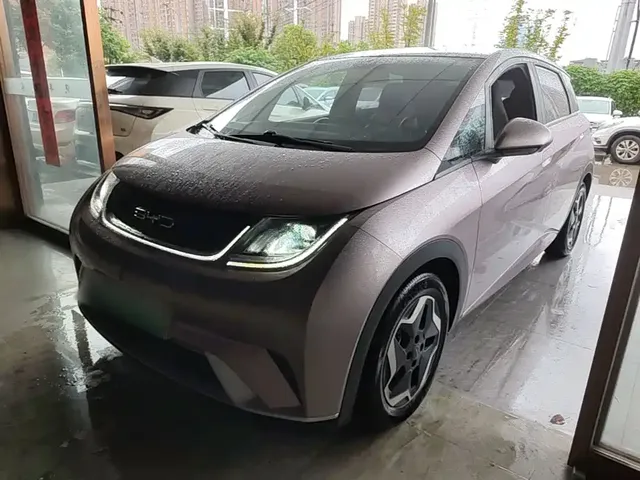 BYD Dolphin 2021 Model 405km Fashion Edition