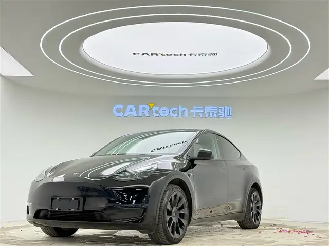 Tesla Model Y 2021 Long Range All-Wheel Drive 3D7
