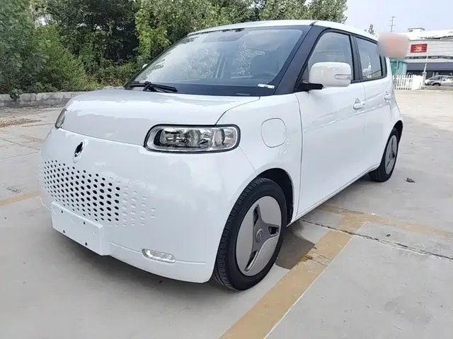 Ora White Cat 2020 360km Standard Model
