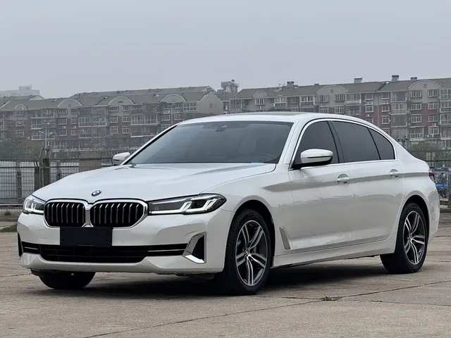 BMW 5 Series 2022 530Li Leading Luxury Package