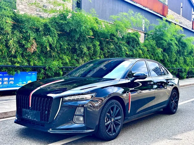 Hongqi H5 2025 2.0T Automatic Mystic Shadow 2 Million Edition