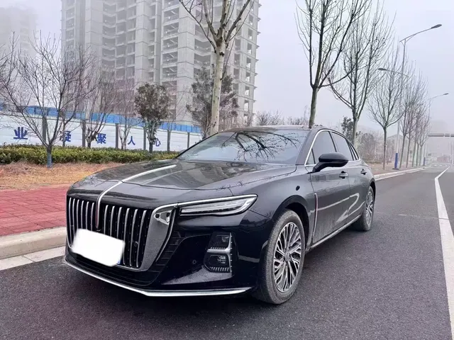 Hongqi H5 2025 2.0T Automatic Flag Celebration 500,000 Units Anniversary Edition