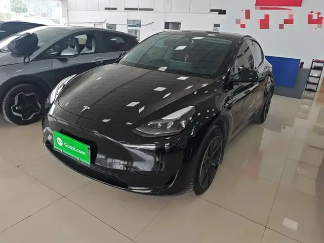 Tesla Model Y 2022 Facelift Rear-Wheel Drive Version