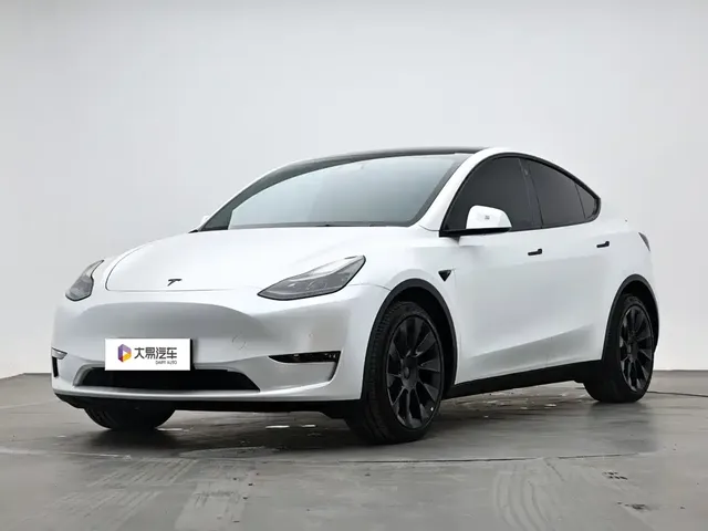 Tesla Model Y 2021 Long Range All-Wheel Drive 3D7