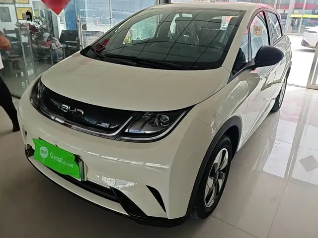 BYD Dolphin 2025 420km Freedom Edition