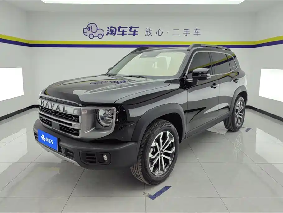 Haval Big Dog 2024 1.5T DCT Border Collie Edition