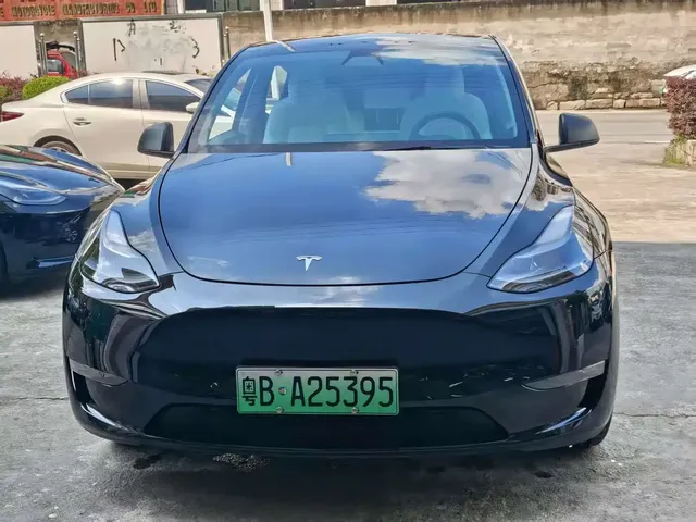 Tesla Model Y 2022 Rear-Wheel Drive Version