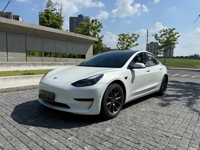 Tesla Model 3 2022 Model Rear-Wheel Drive Version