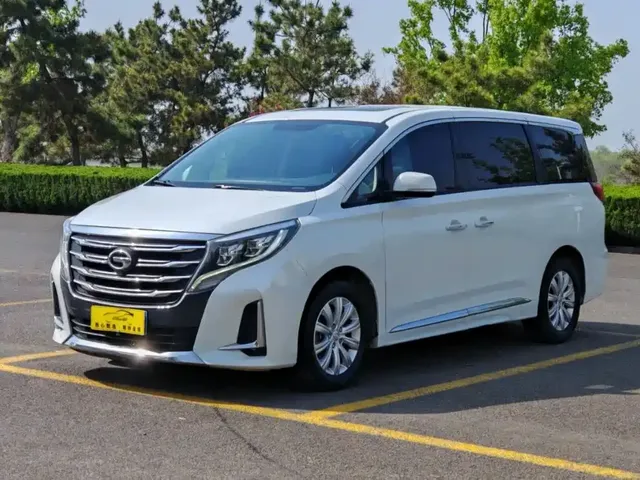 GAC Trumpchi M8 2020 Pilot 390T Premium Edition