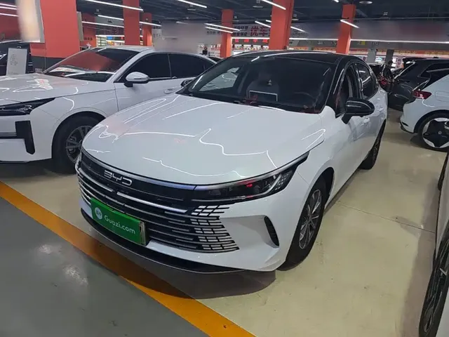 BYD Destroyer 05 2024 Glory Edition DM-i 55KM Luxury