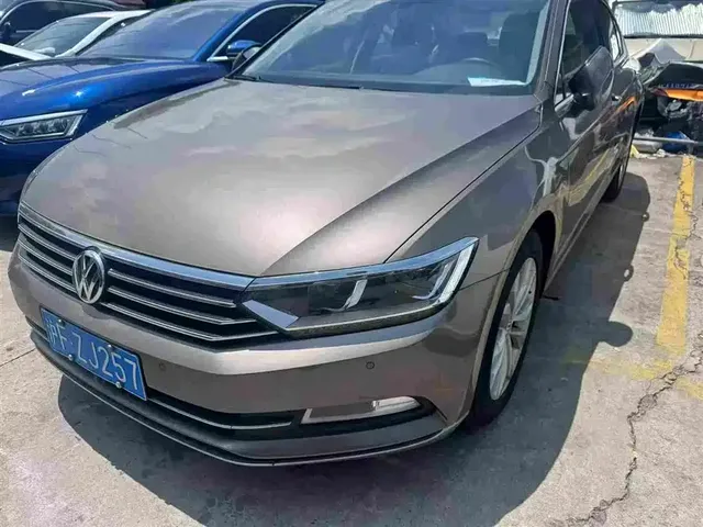 Volkswagen Magotan 2019 330TSI DSG Luxury China V
