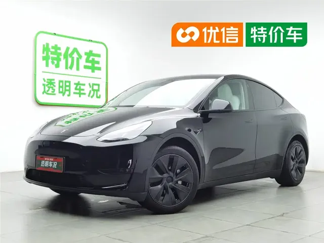 Tesla Model Y 2024 Rear-Wheel Drive Version