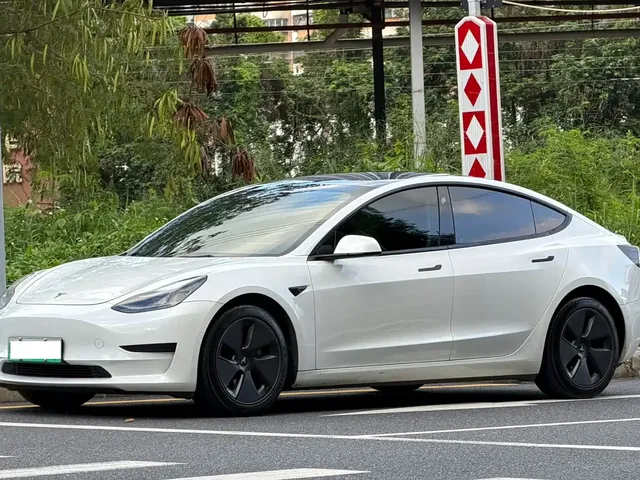Tesla Model 3 2021 Standard Range Rear-Wheel Drive Upgrade