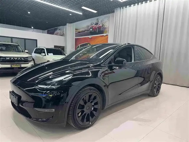 Tesla Model Y 2021 Standard Range Rear-Wheel Drive