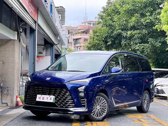 Buick GL8 New Energy 2024 Land Honor Luxury Edition 6-Seater