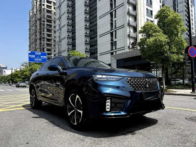 WEY Wei VV7 GT 2020 2.0T Flagship