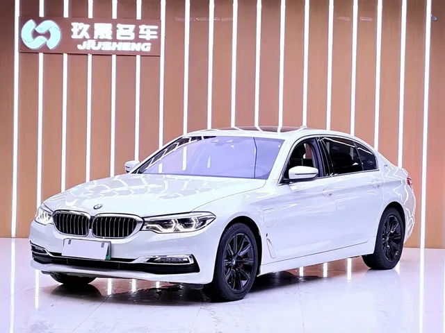 BMW 5 Series New Energy 2019 530Le Luxury Package