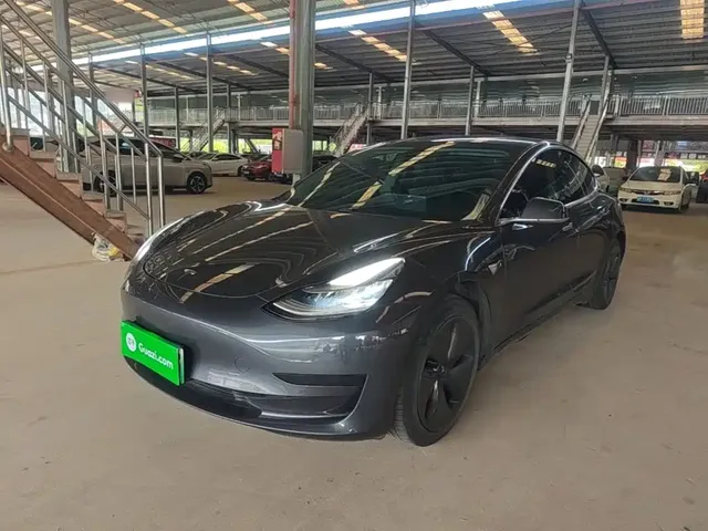 Tesla Model 3 2019 Standard Range Rear-Wheel Drive Upgrade
